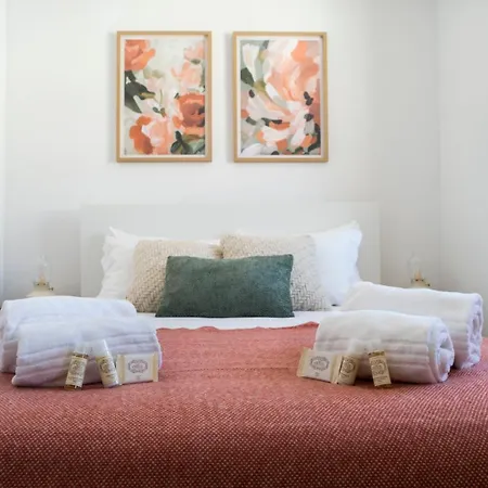 Duplex Flat In The Heart Of Historic Center W. Ac Daire Porto